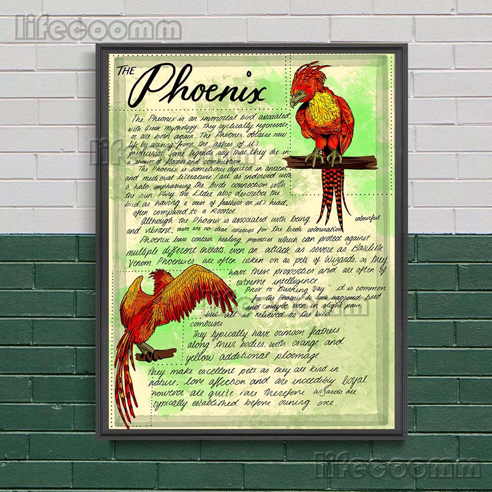 Wizardry Herbology And Botany  - огляд і ціна Star Map Poster